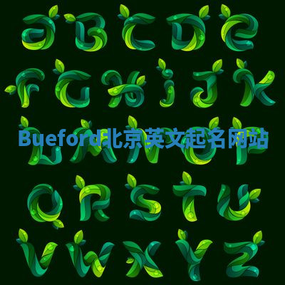 Bueford北京英文起名网站