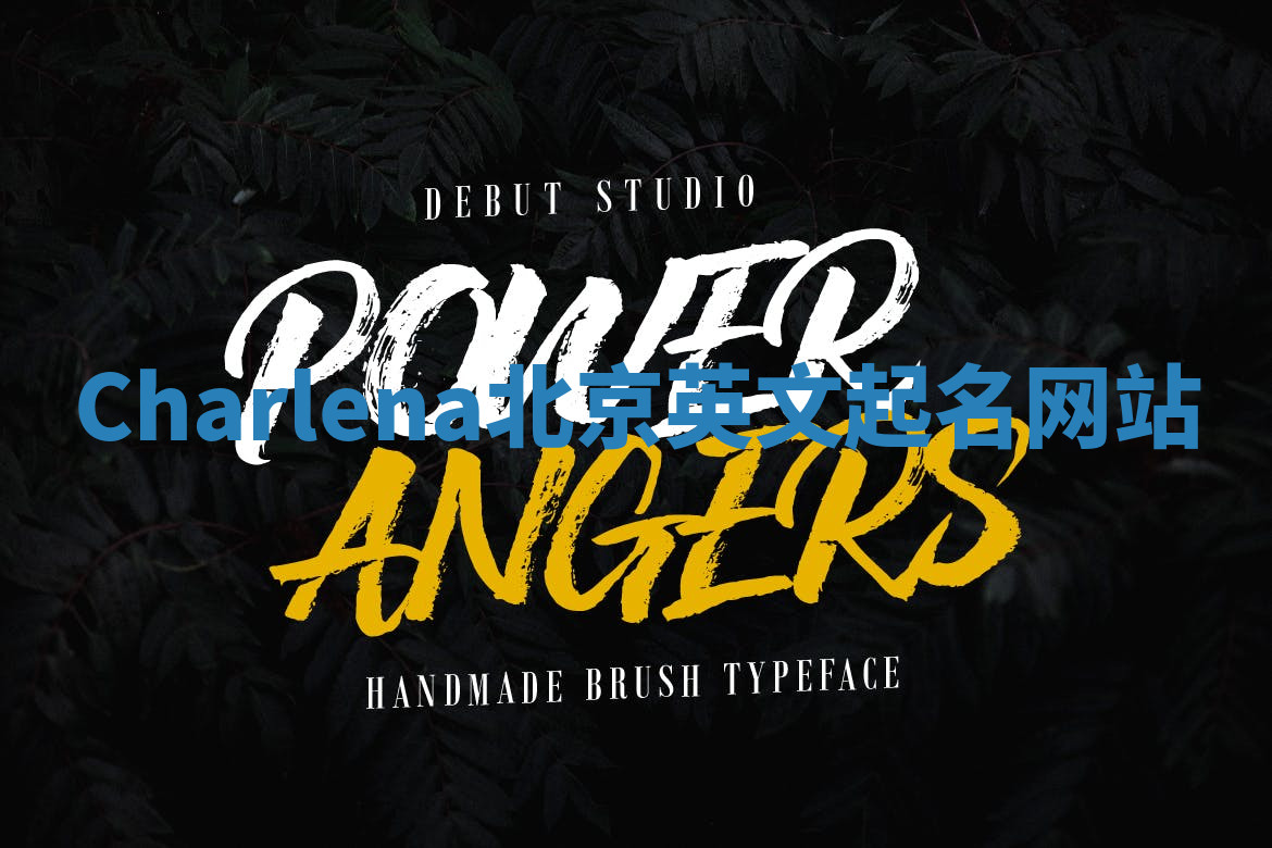 Charlena北京英文起名网站