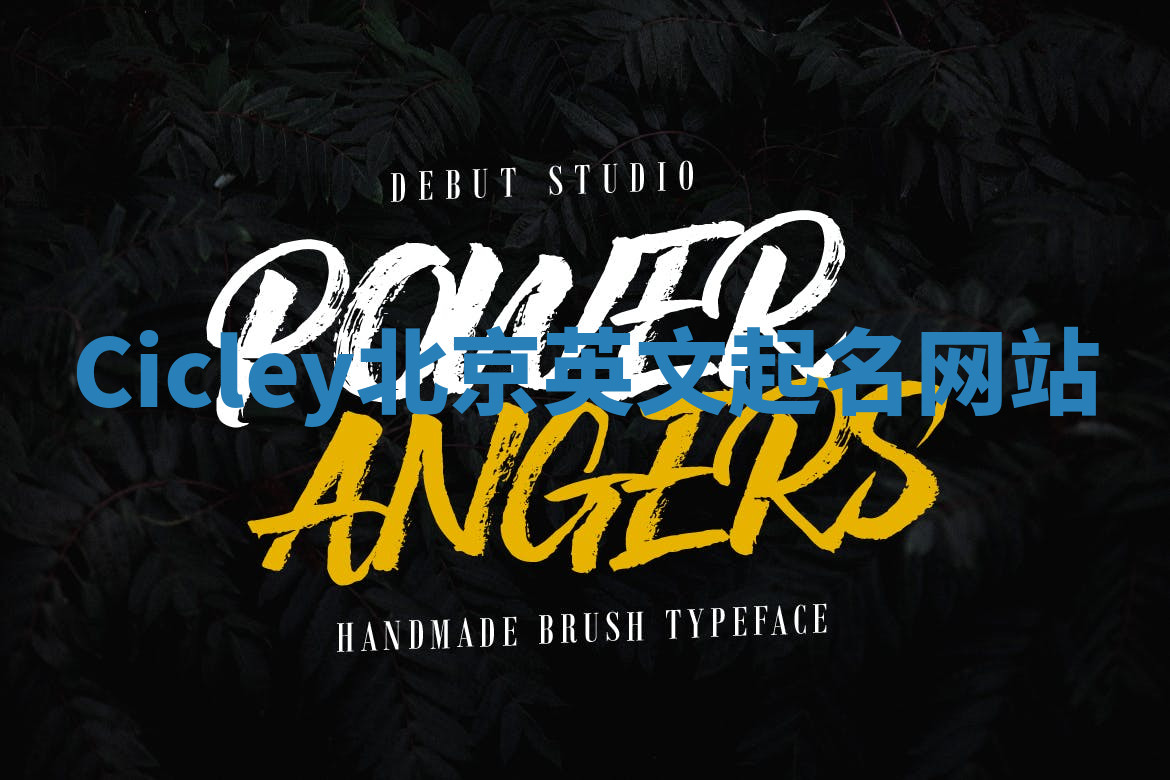 Cicley北京英文起名网站 Cicley北京英文起名网站