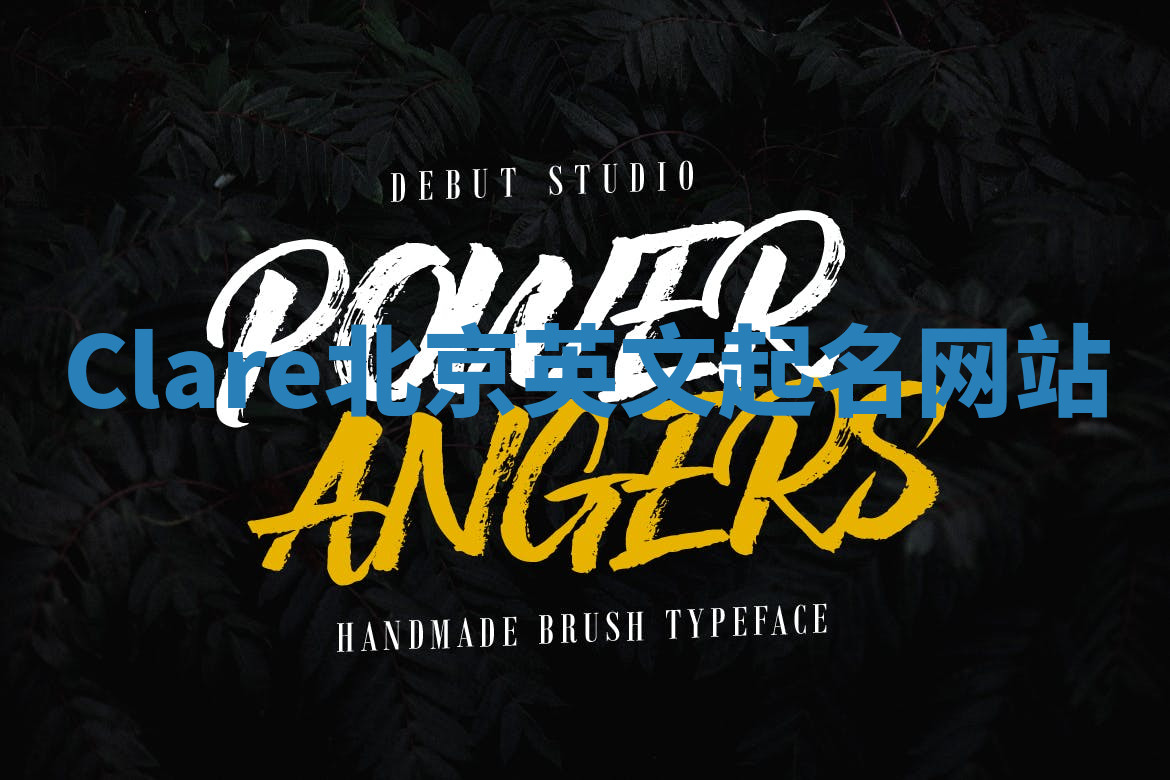 Clare北京英文起名网站