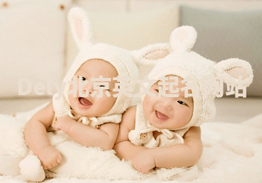 Dely北京英文起名网站