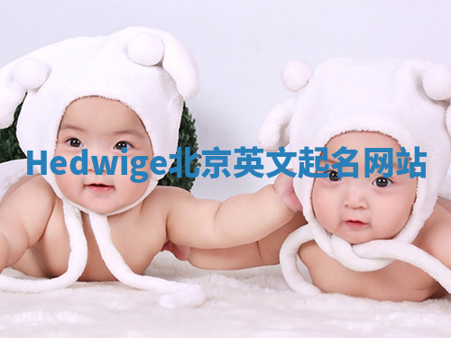 Hedwige北京英文起名网站