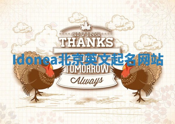Idonea北京英文起名网站