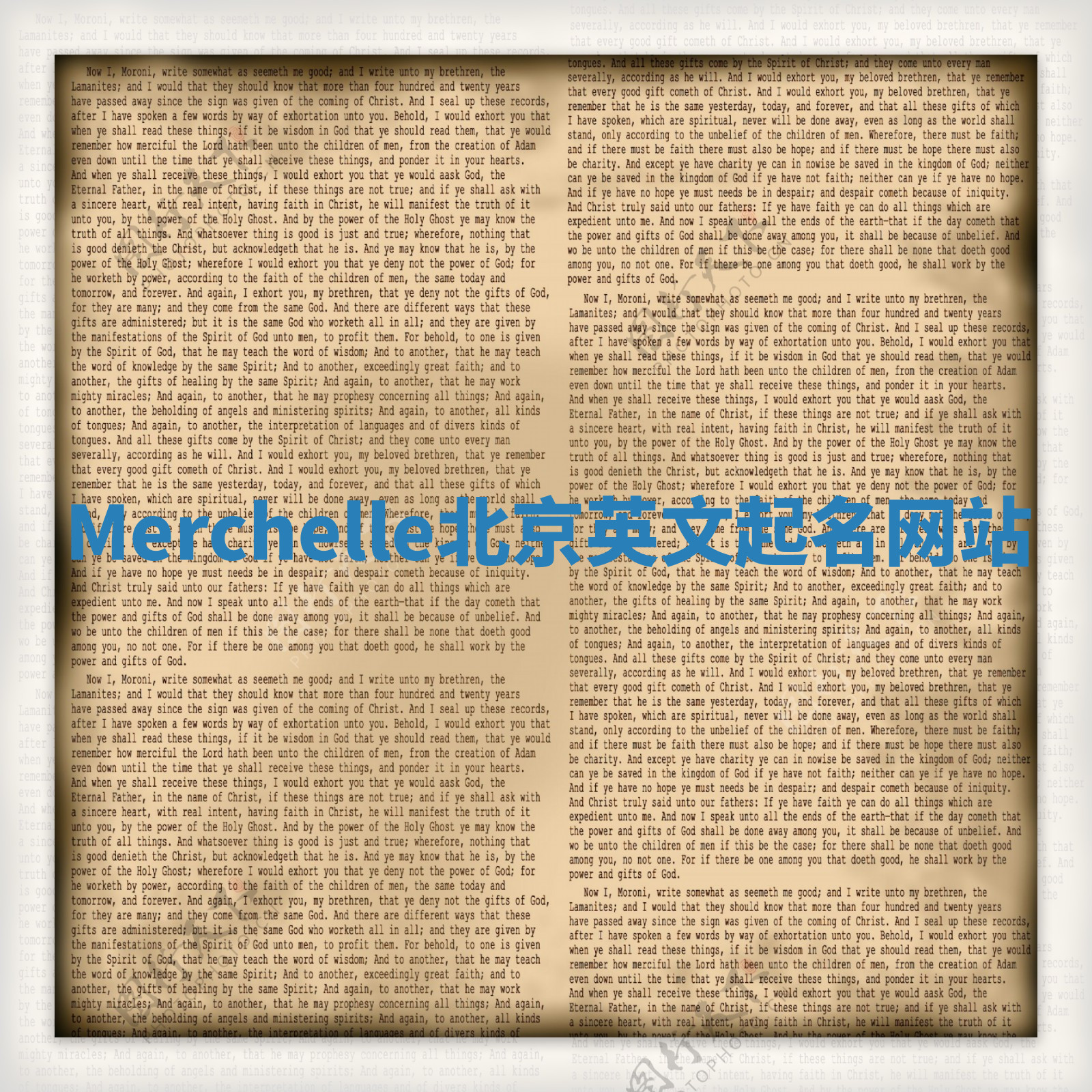 Merchelle北京英文起名网站
