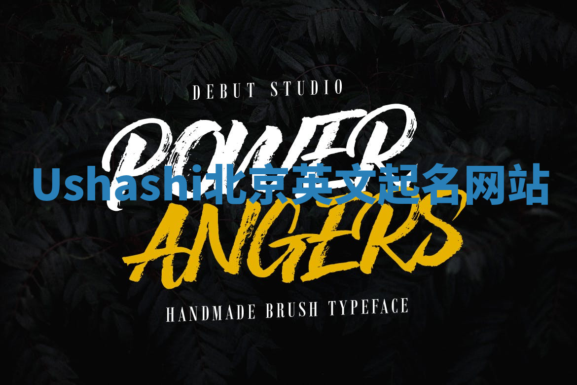 Ushashi北京英文起名网站 Ushashi北京英文起名网站