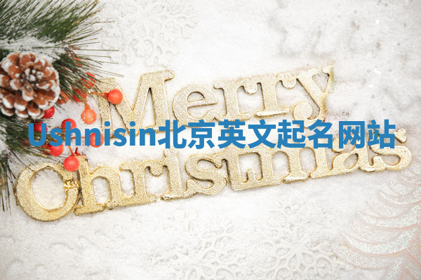 Ushnisin北京英文起名网站