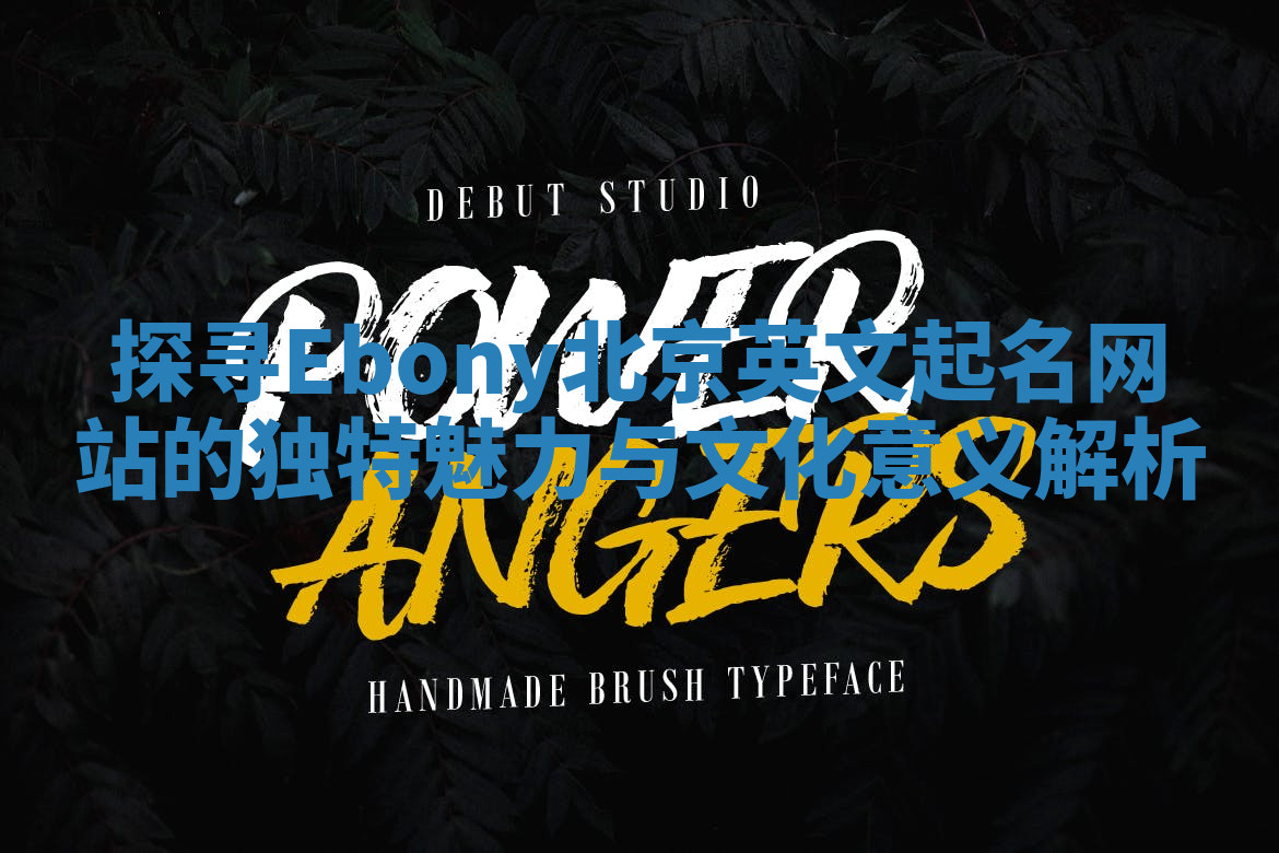 探寻Ebony北京英文起名网站的独特魅力与文化意义解析